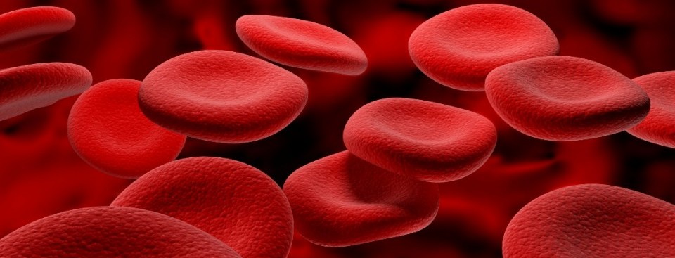 blood_cells_RBCs